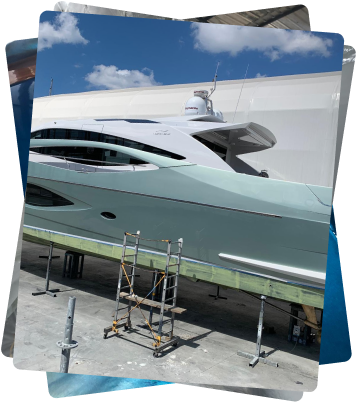 an assorted gallery of reference images